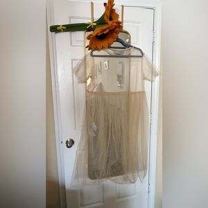 Elegant Sheer Cream Dress